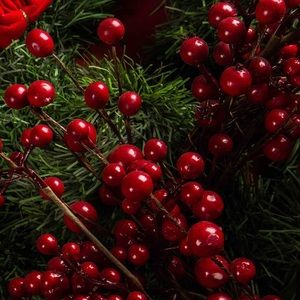 Meet your Posher, Adriana